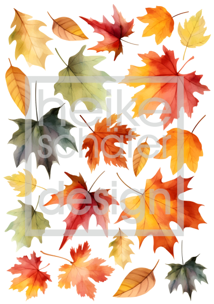3D-Rub On Aufkleber - Herbstlaub  - RB3-153